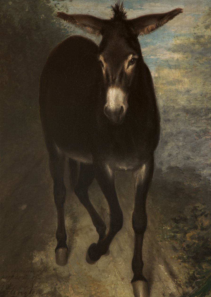 Sycylijska dupa autorstwa Benjamin Haydon