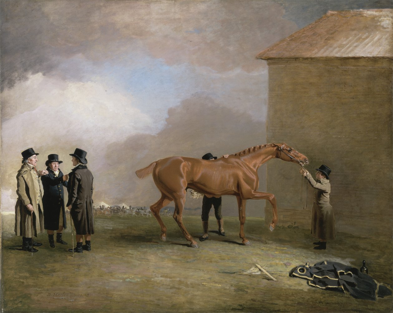 Muly Moloch, kasztanowy źrebak wycierany na Newmarket Heath, z portretami Trottera, Hardy