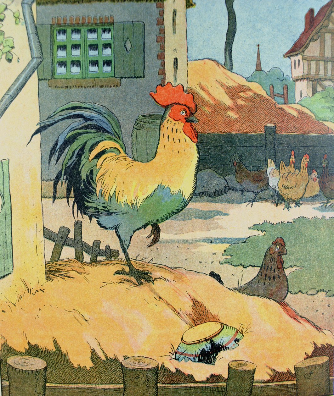Kogut, ilustracja z „Le Buffon de Benjamin Rabier”, zaadaptowana z „Histoire Naturelle” Georgesa de Buffona (1707-88) (kolorowa grawerunek) autorstwa Benjamin Rabier