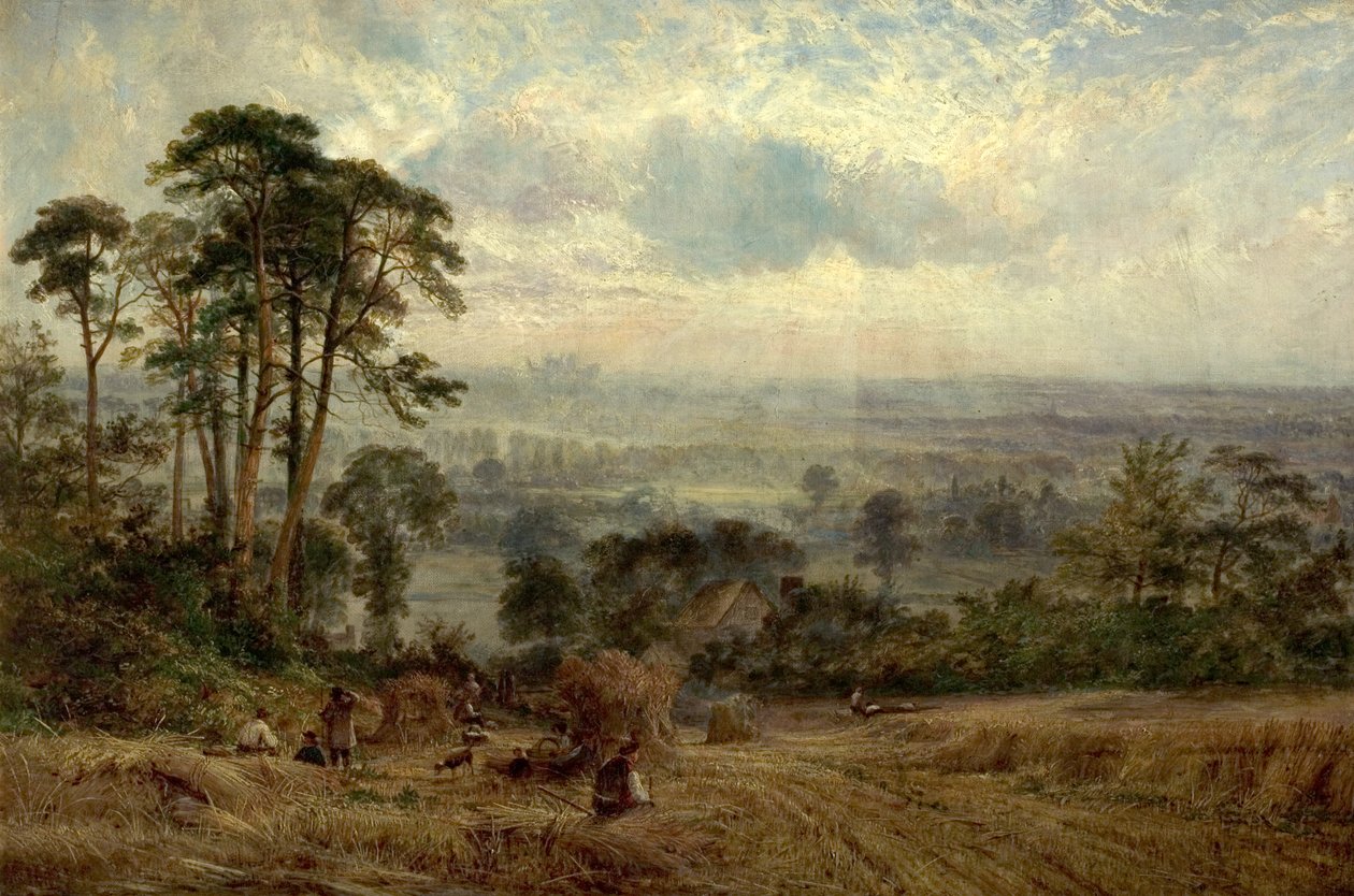 Pola kukurydzy, Wollaton Hall, Nottingham, XIX wiek autorstwa Benjamin Shipman