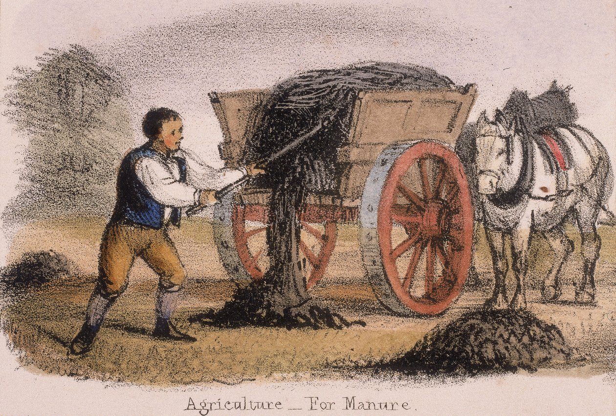 Rolnictwo, na obornik, c1845 autorstwa Benjamin Waterhouse Hawkins