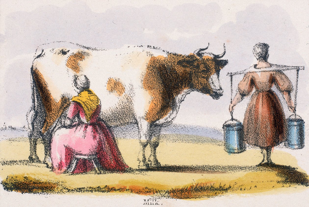 „Mleko”, ok. 1845 r. autorstwa Benjamin Waterhouse Hawkins