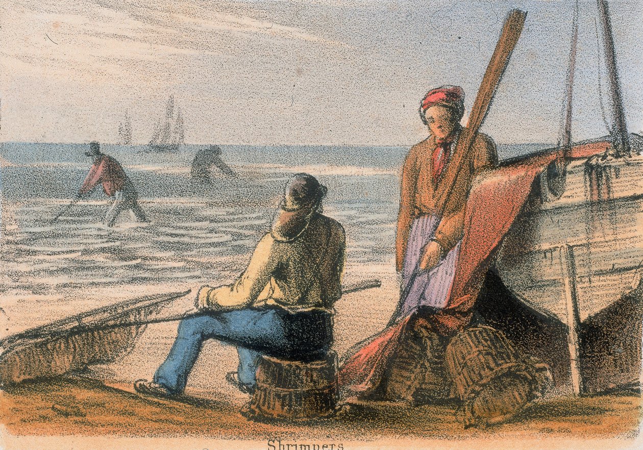 Krewetki, ok. 1845 autorstwa Benjamin Waterhouse Hawkins