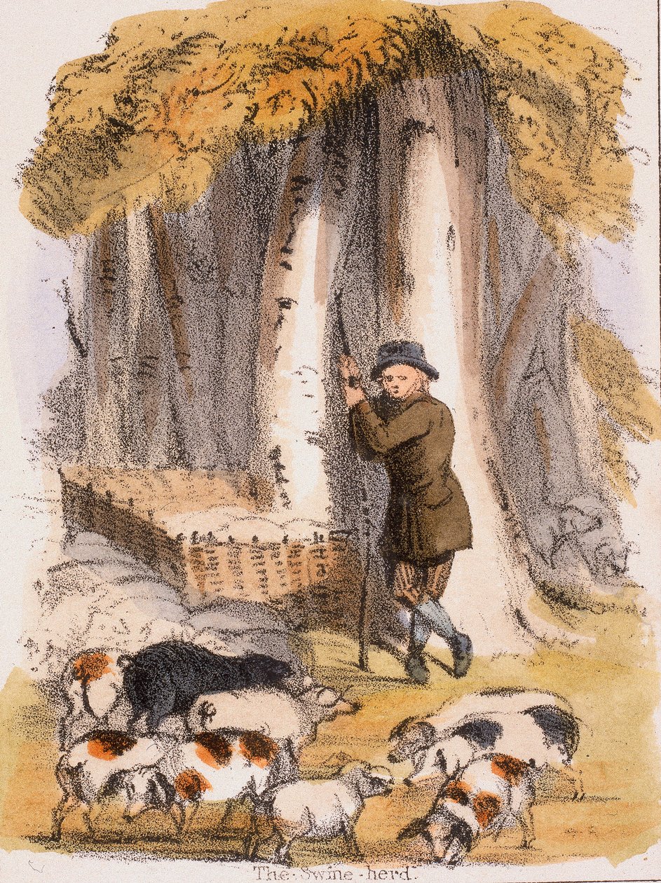 Stado świń, ok. 1845 r. autorstwa Benjamin Waterhouse Hawkins