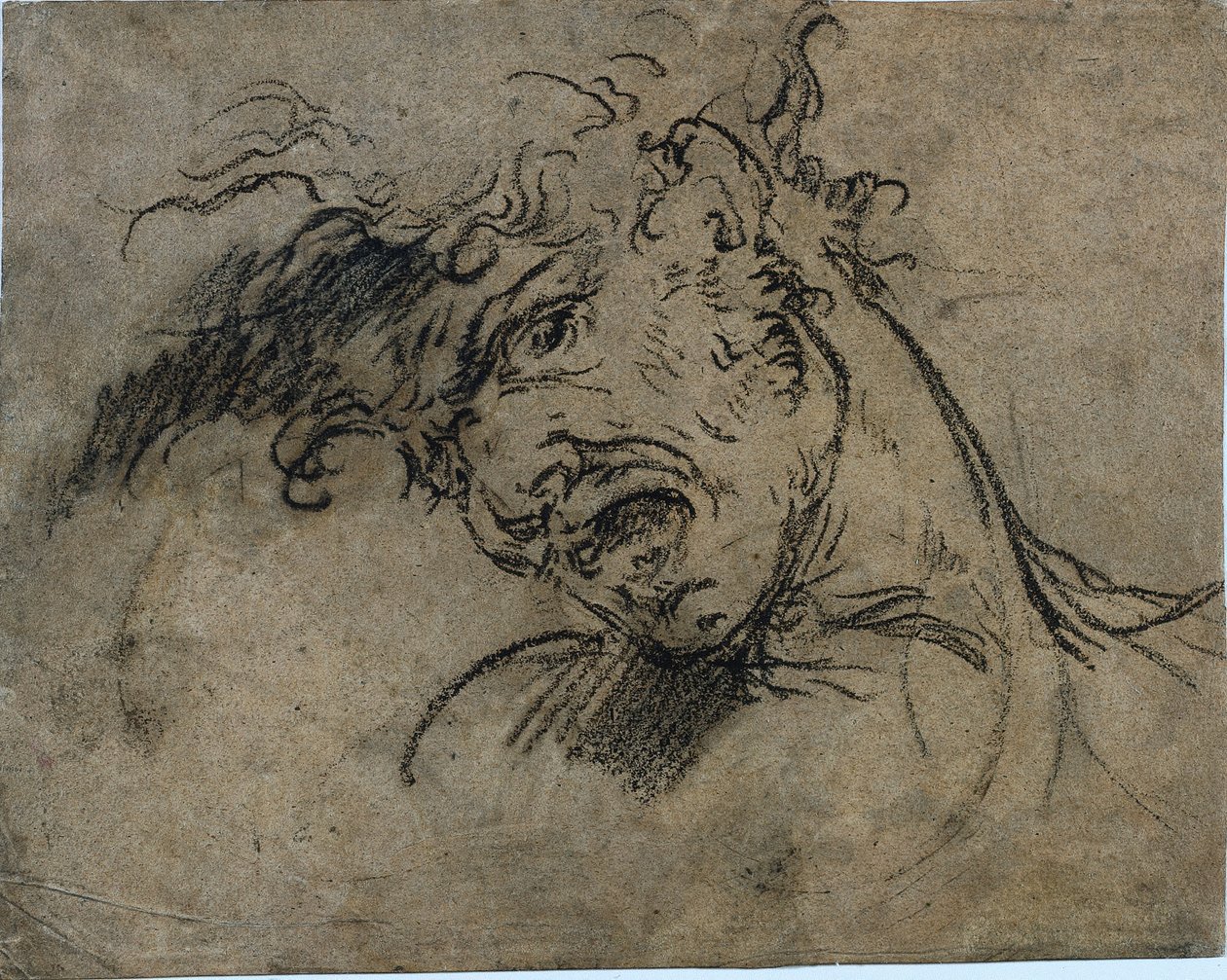 Głowa Krzyczącego Człowieka (rekto) autorstwa Benjamin West