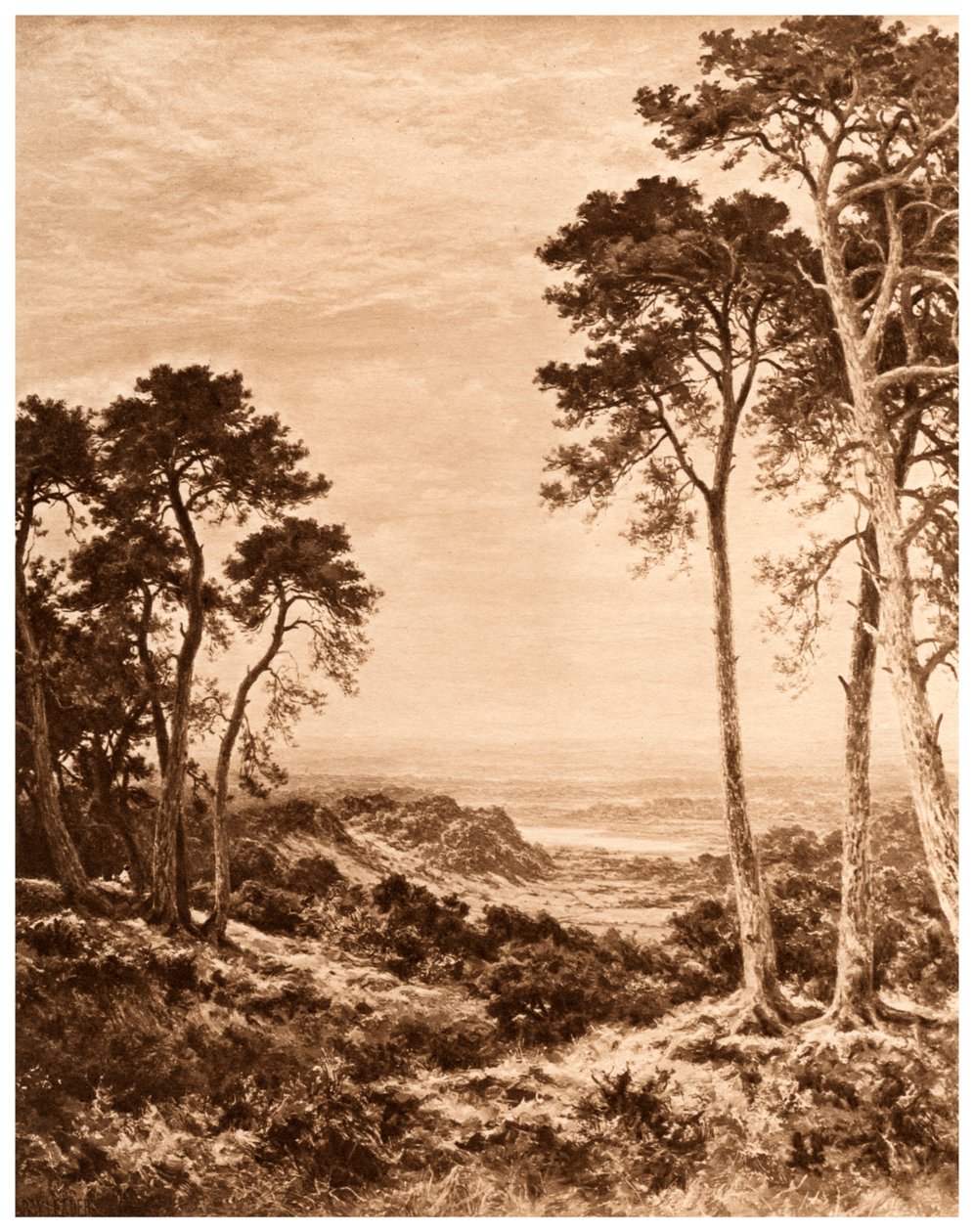 Zachód słońca po deszczu, 1903 autorstwa Benjamin Williams Leader