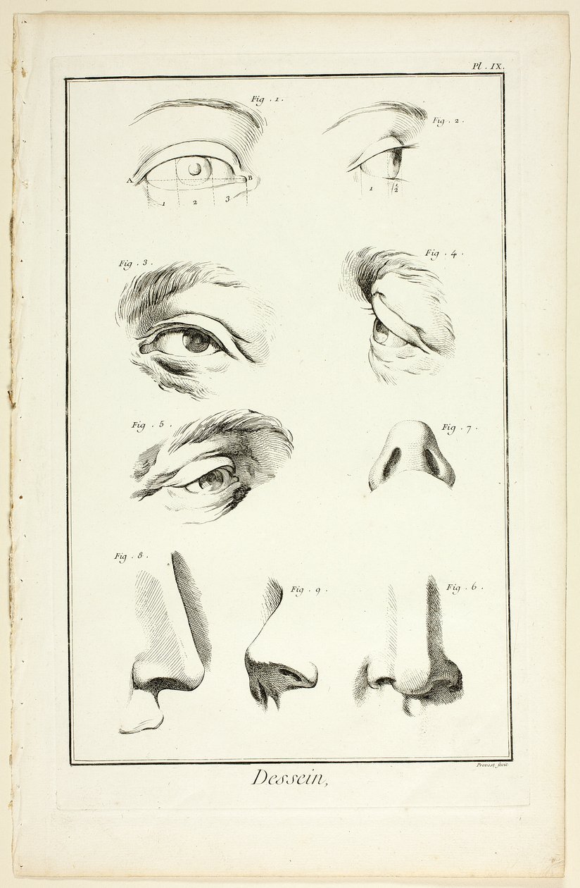 Projekt: Anatomia twarzy z Encyclopédie autorstwa Benoit Louis Prevost