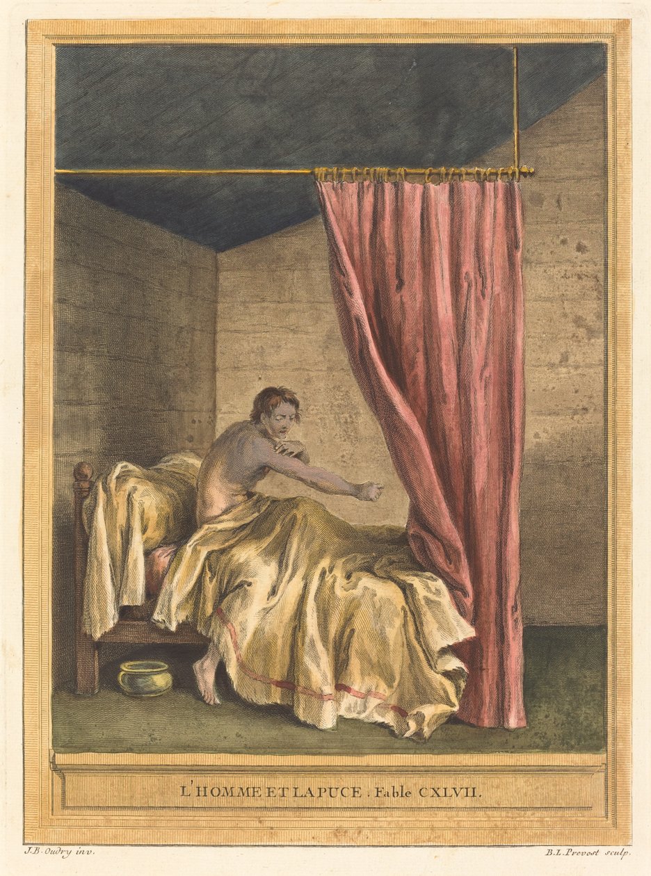 Człowiek i pchła (Człowiek z pchłami) autorstwa Benoît Louis Prévost after Jean Baptiste Oudry