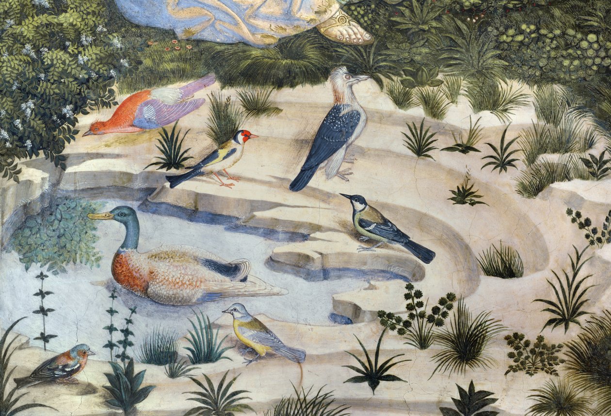 Ptaki wokół stawu, fragment z cyklu Podróż Trzech Króli w kaplicy, ok. 1460, fragment fresku z 70610 autorstwa Benozzo di Lese di Sandro Gozzoli