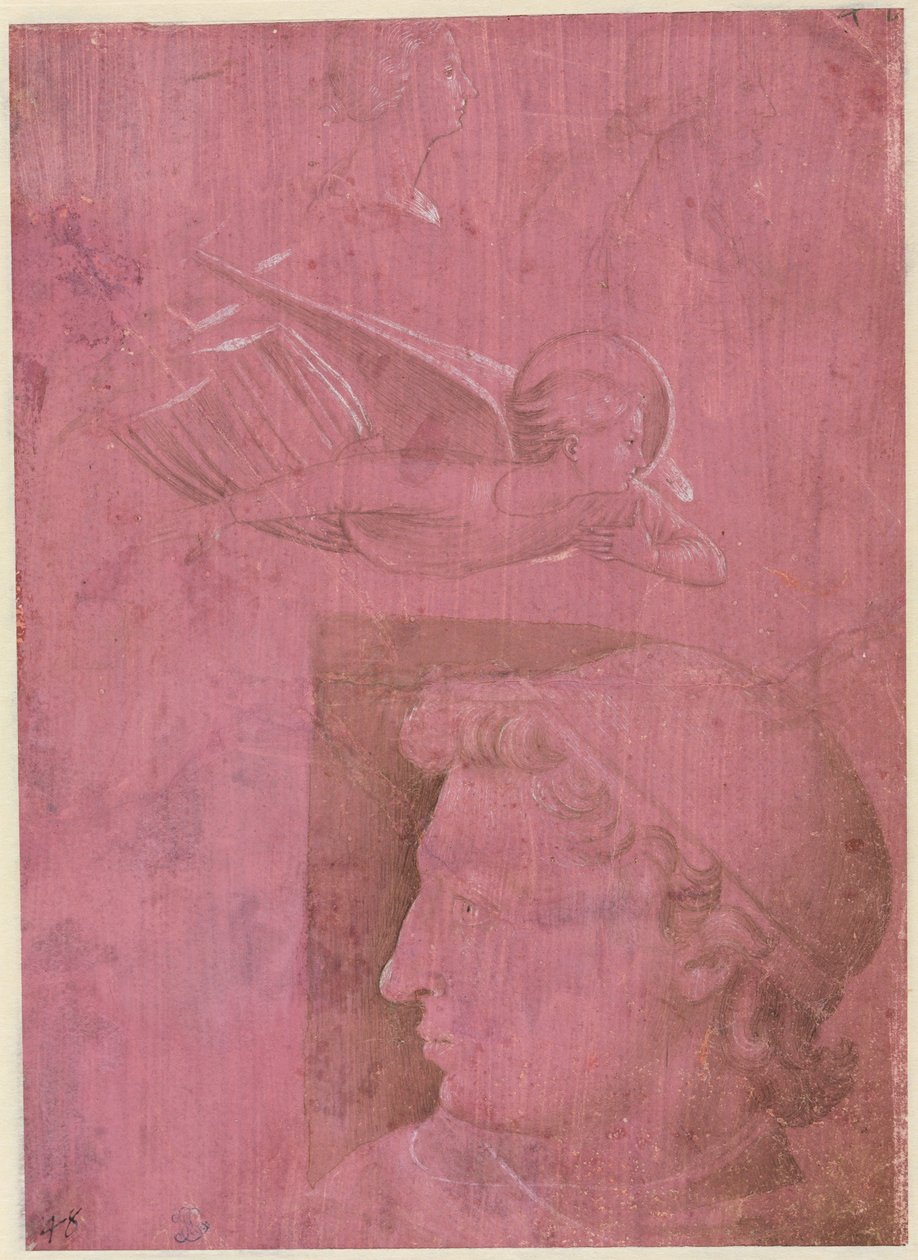 Głowa mężczyzny, dwa etiudy kobiecego profilu i studium anioła verso, c. 1458. autorstwa Benozzo Gozzoli
