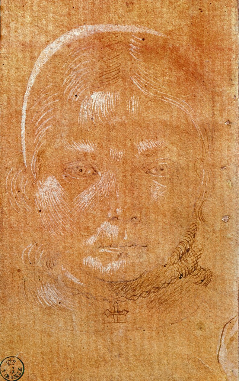 Głowa młodej dziewczyny (kreda i tusz na papierze) autorstwa Benozzo di Lese di Sandro Gozzoli
