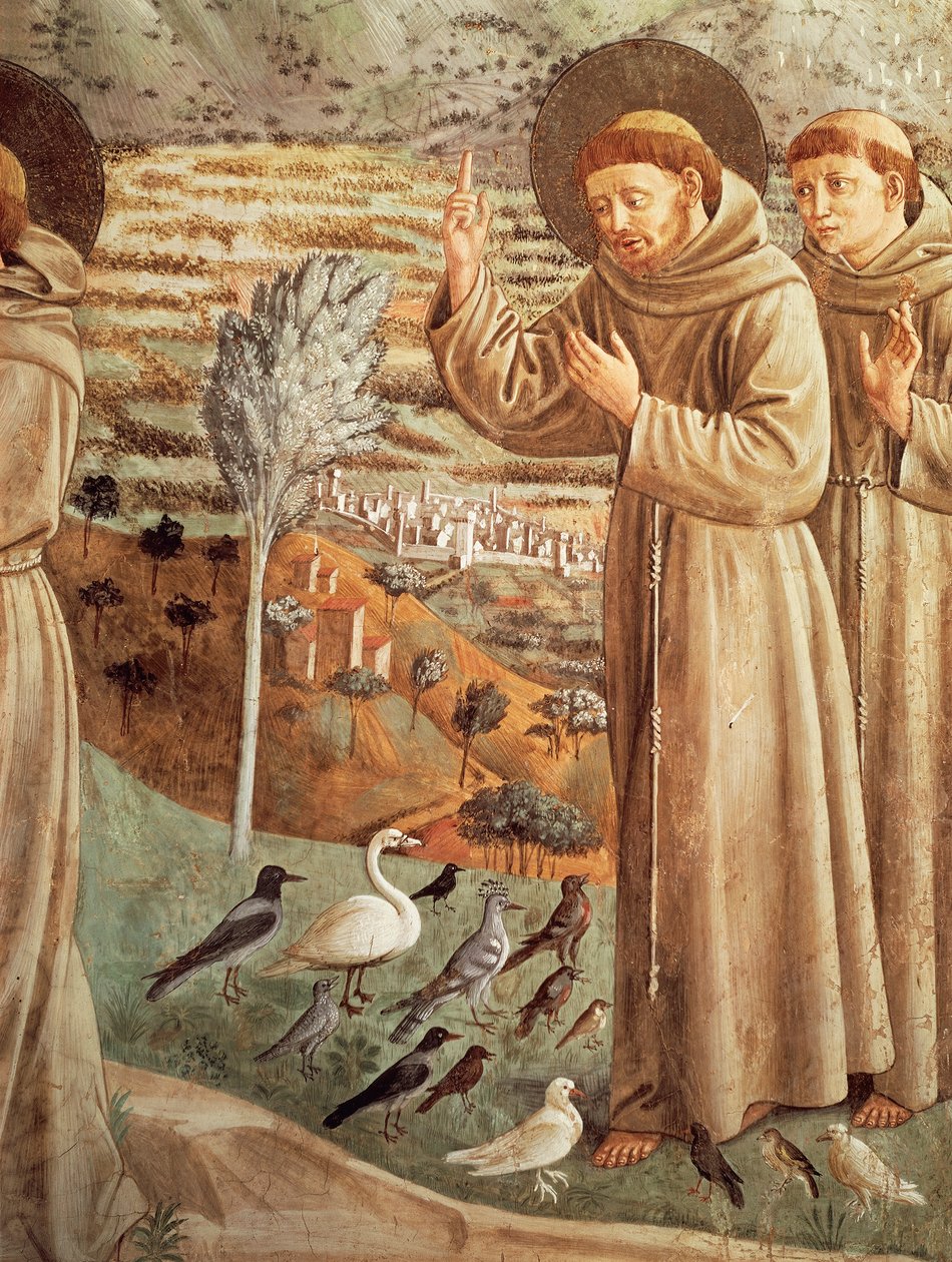 Historie z życia św. Franciszka, kazanie do ptaków (1452), Cykl fresków Benozzo Gozzoli (1421-1497), trybuna apsydowa, kościół św. Franciszka, Montefalco, Umbria, Włochy autorstwa Benozzo di Lese di Sandro Gozzoli