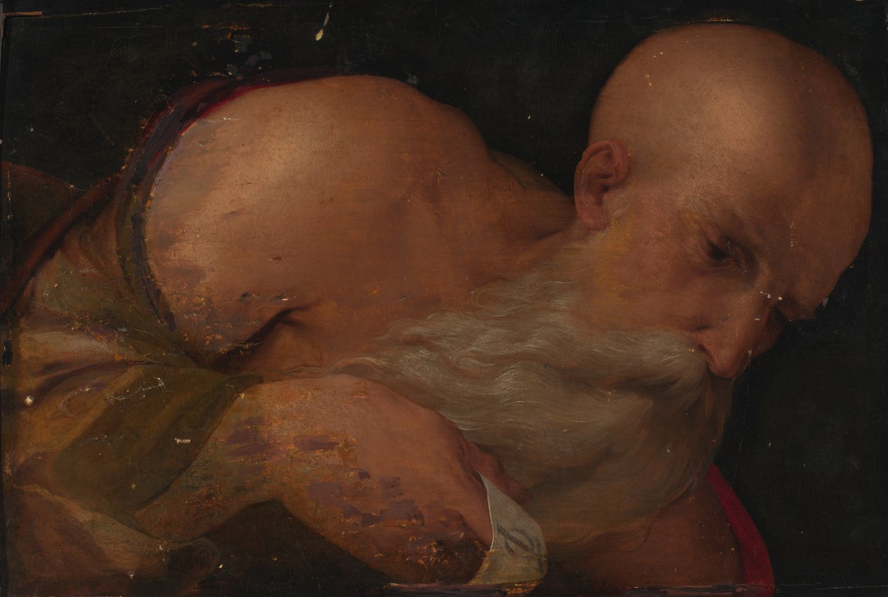 Portret mężczyzny, XVI wiek. autorstwa Benvenuto Tisi da Garofalo