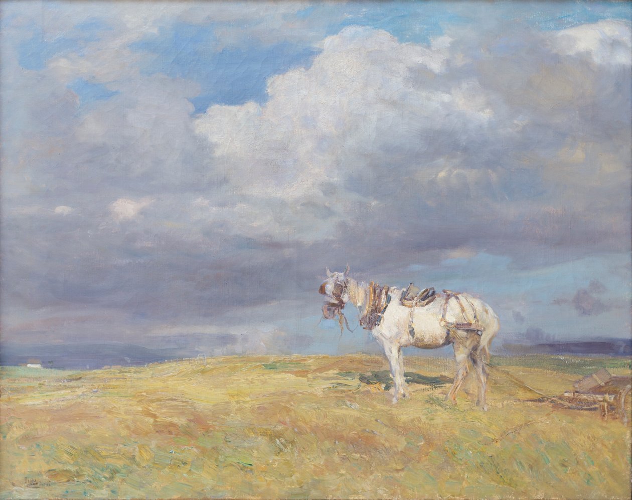 Biały koń, ok. 1910 (olej na płótnie) autorstwa Beppe Ciardi