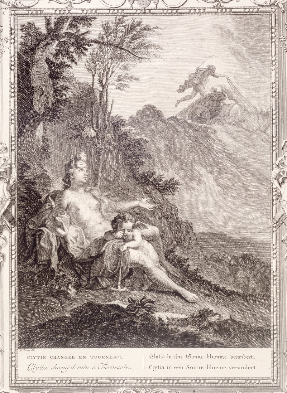 Clytia zamieniona w Turnesole, 1731 autorstwa Bernard Picart