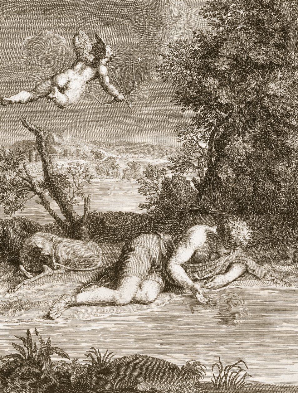 Narcyz przemieniony w kwiat, 1730 autorstwa Bernard Picart