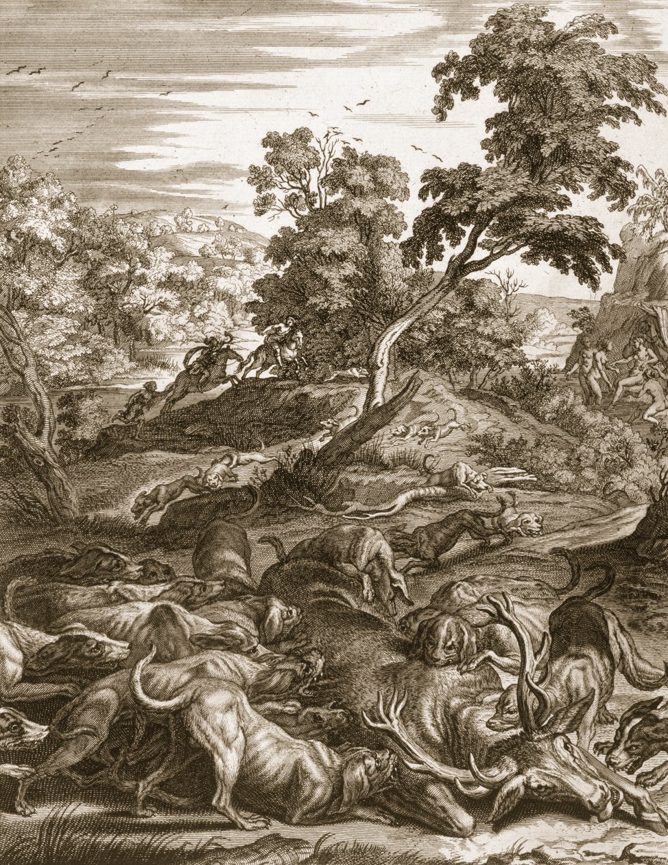 Akteon zamieniony w jelenia i pożarty przez jego psy, 1731 autorstwa Bernard Picart