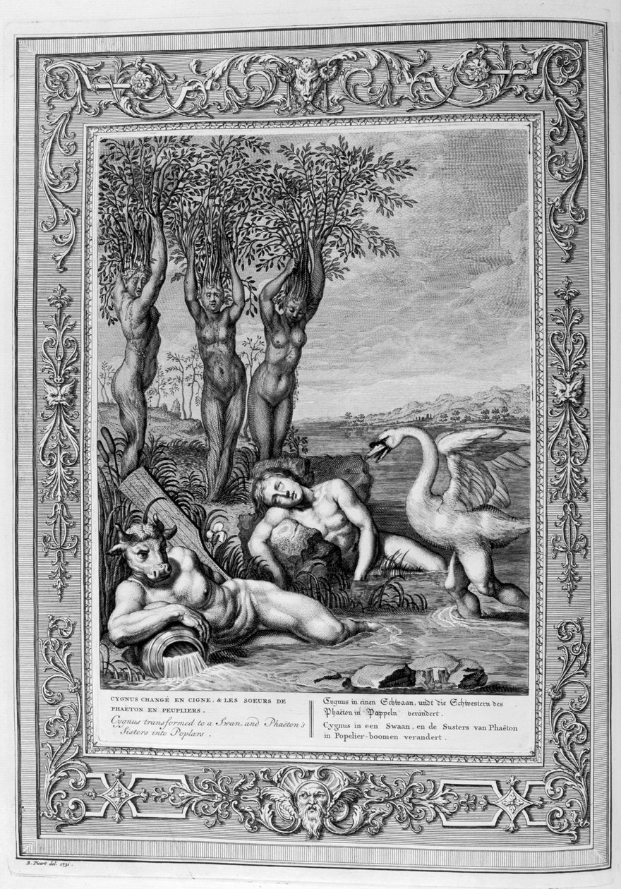 Cygnus przekształcił się w łabędzia, a siostry Faetony w topole, 1733 autorstwa Bernard Picart