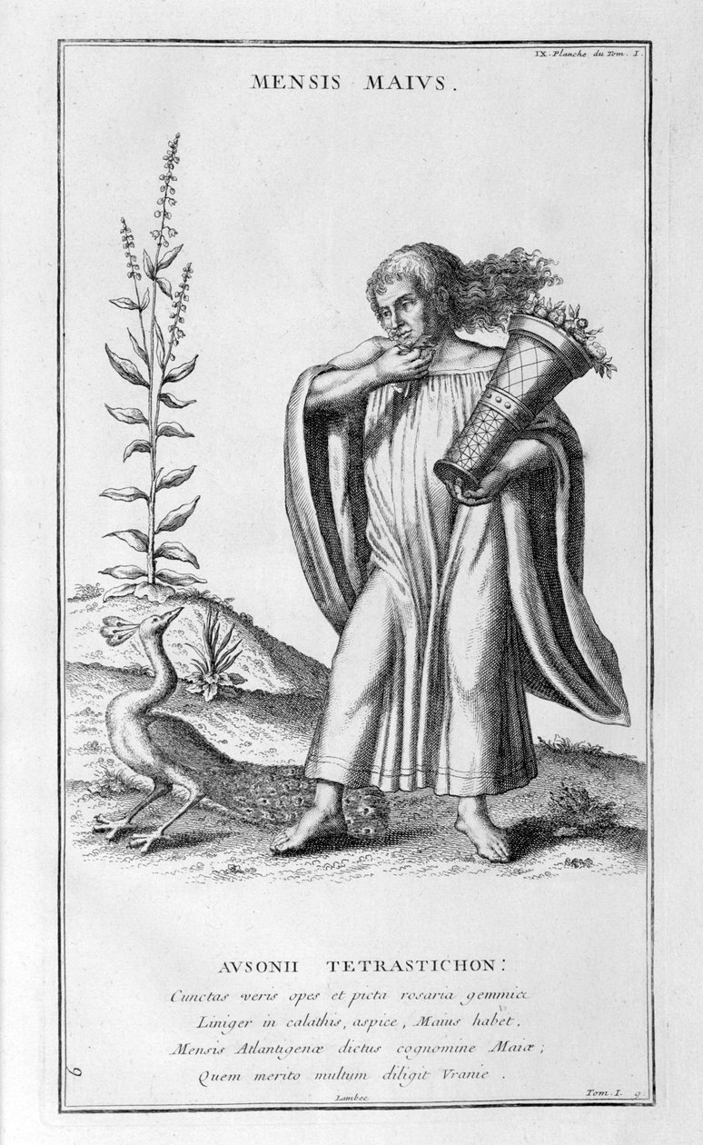 Reprezentacja z maja 1757 r. autorstwa Bernard de Montfaucon