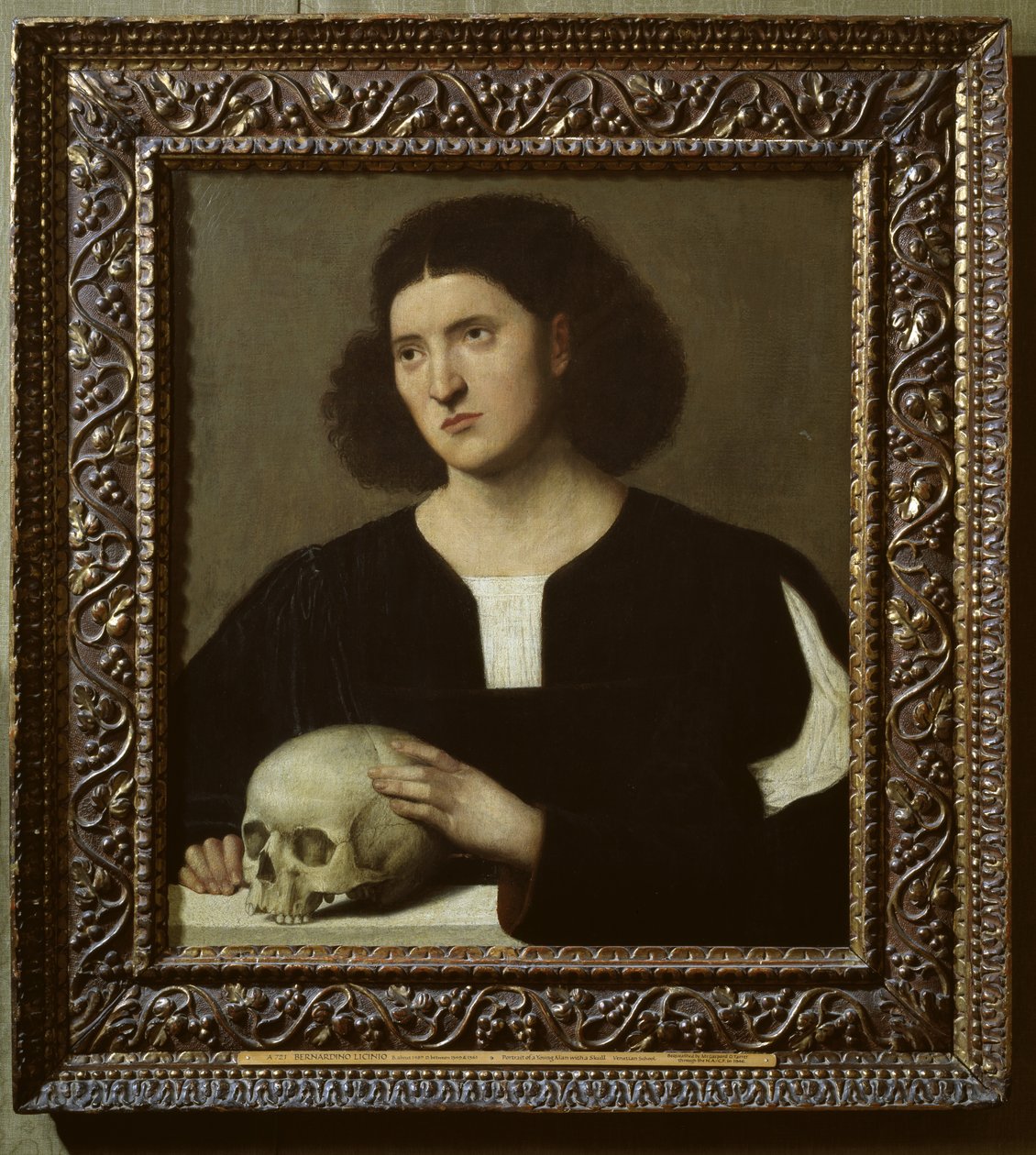 Portret młodzieńca z czaszką, XVII w. olej na płótnie) autorstwa Bernardino Licinio