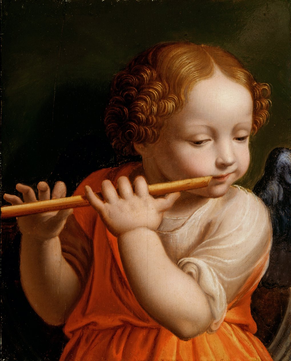 Dziecko anioł grający na flecie, ok. 1500 r. autorstwa Bernardino Luini