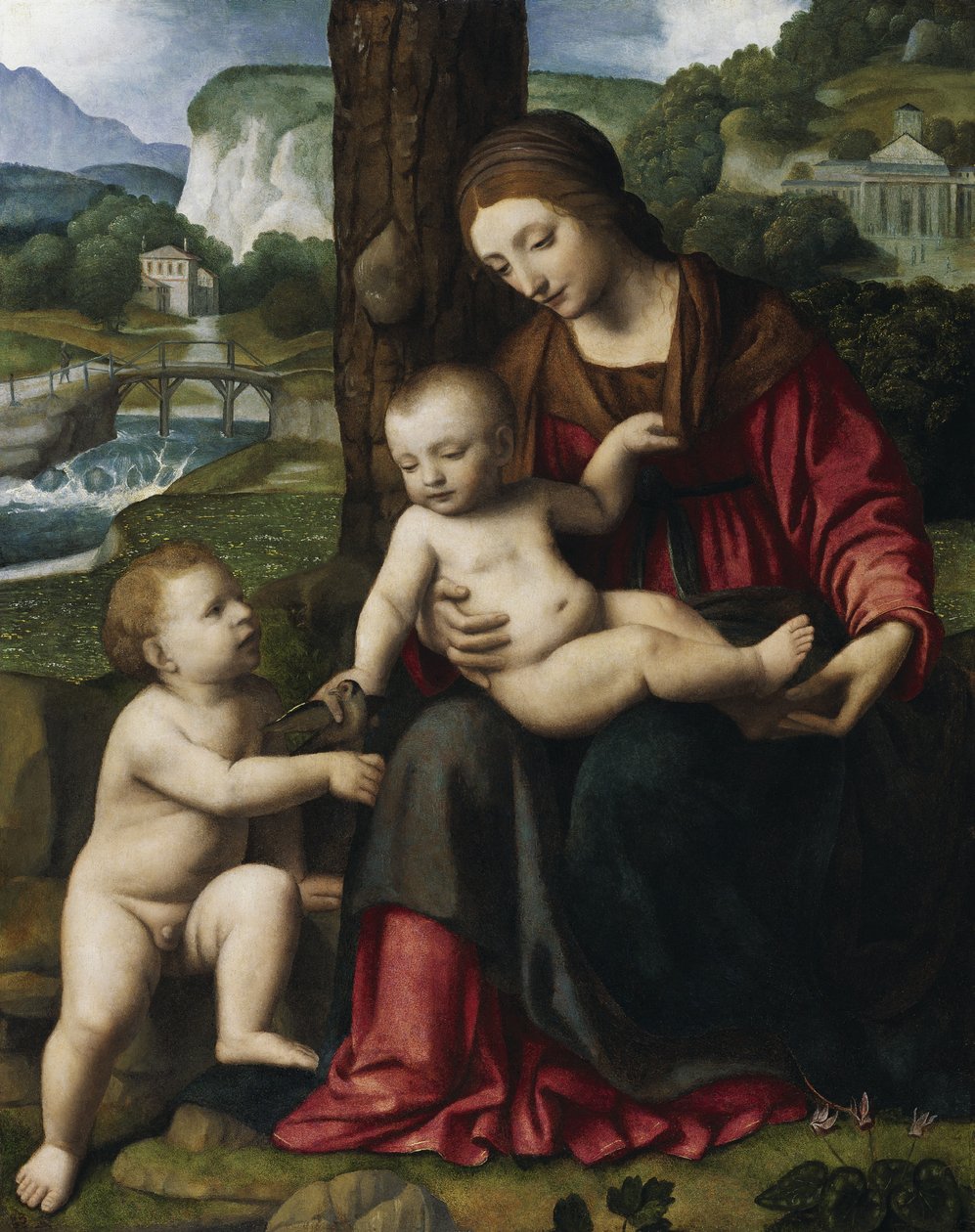 Madonna z Dzieciątkiem i San Giovannino autorstwa Bernardino Luini