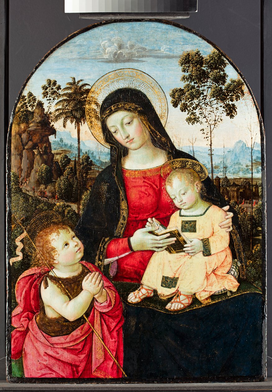 Dziewica z Dzieciątkiem ze św. Janem Chrzcicielem, 1490-95 (tempera z olejem, glazurą i złotem na desce) autorstwa Bernardino di Betto Pinturicchio