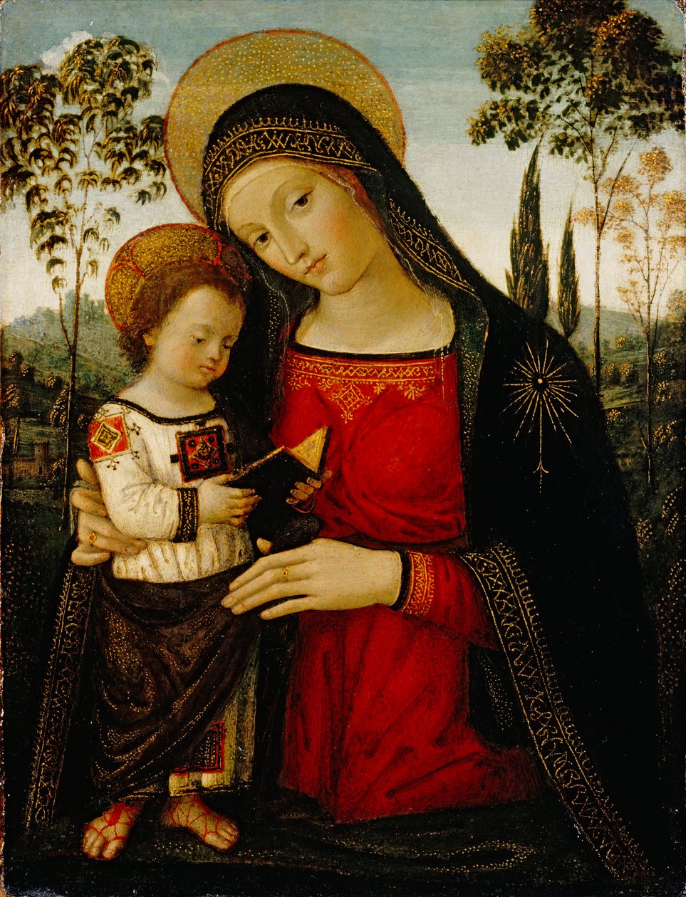 Madonna z Dzieciątkiem, c.1490-1495 (tempera na panelu) autorstwa Bernardino di Betto Pinturicchio