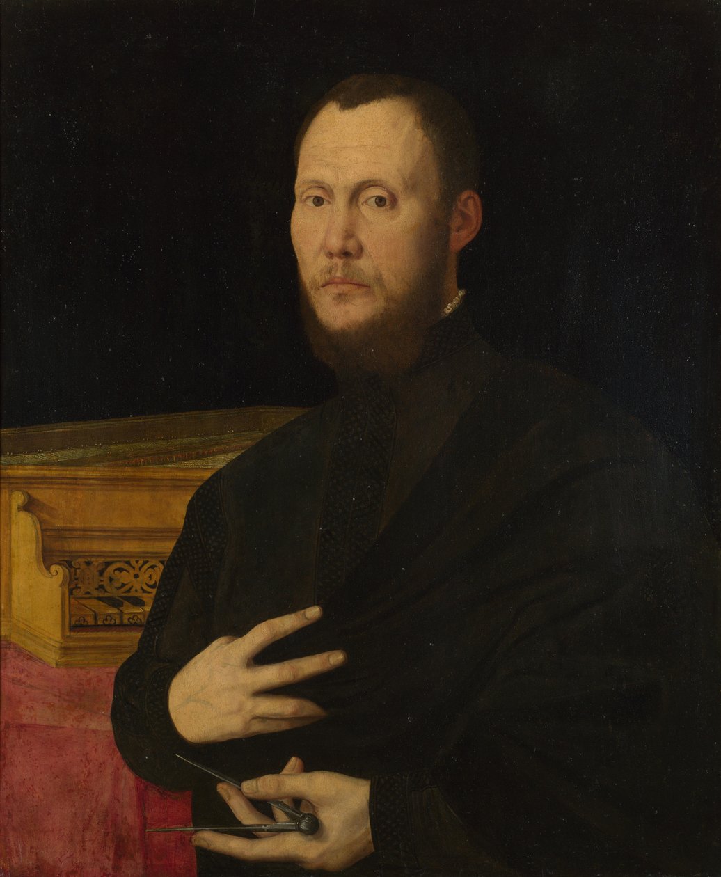 Portret muzyka, ok. godz. 1565 autorstwa Bernardino Campi