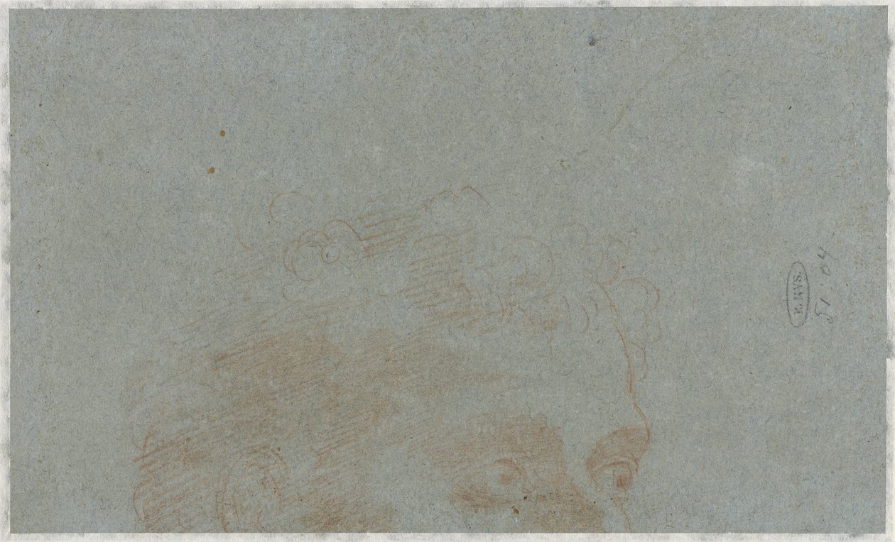 Część głowy mężczyzny autorstwa Bernardino Lanino (possibly)
