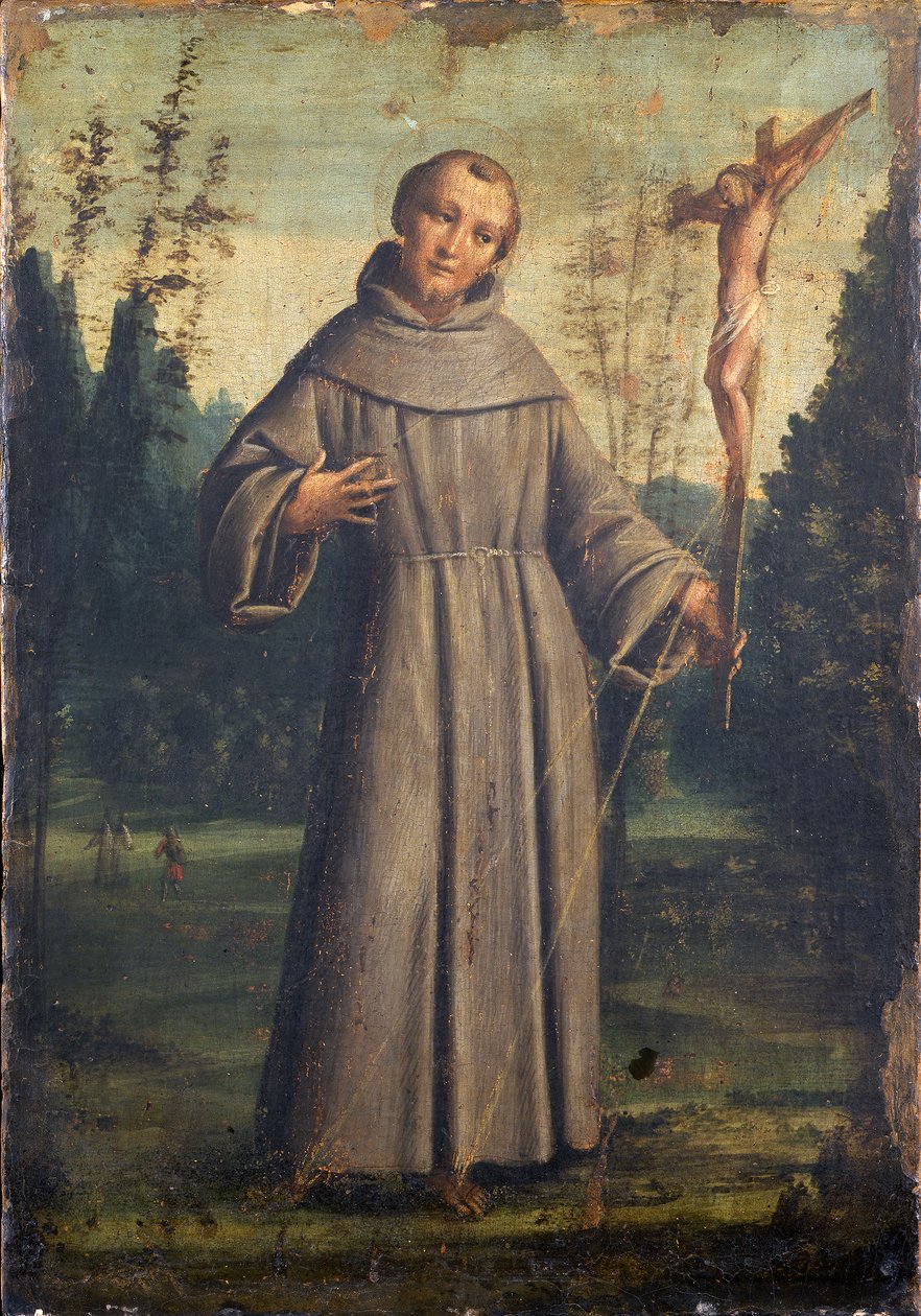 Święty Franciszek z Asyżu, ok. 1545 (olej na desce na płótnie) autorstwa Bernardino Lanino