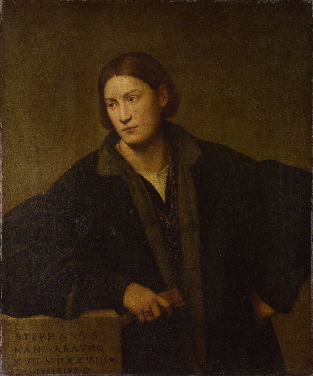 Portret Stefano Naniego, 1528 autorstwa Bernardino Licinio