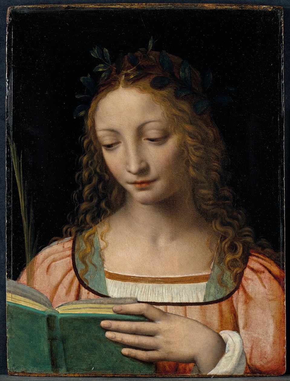 Postać świętego o długości biustu, z palmą i czytaniem pism świętych autorstwa Bernardino Luini