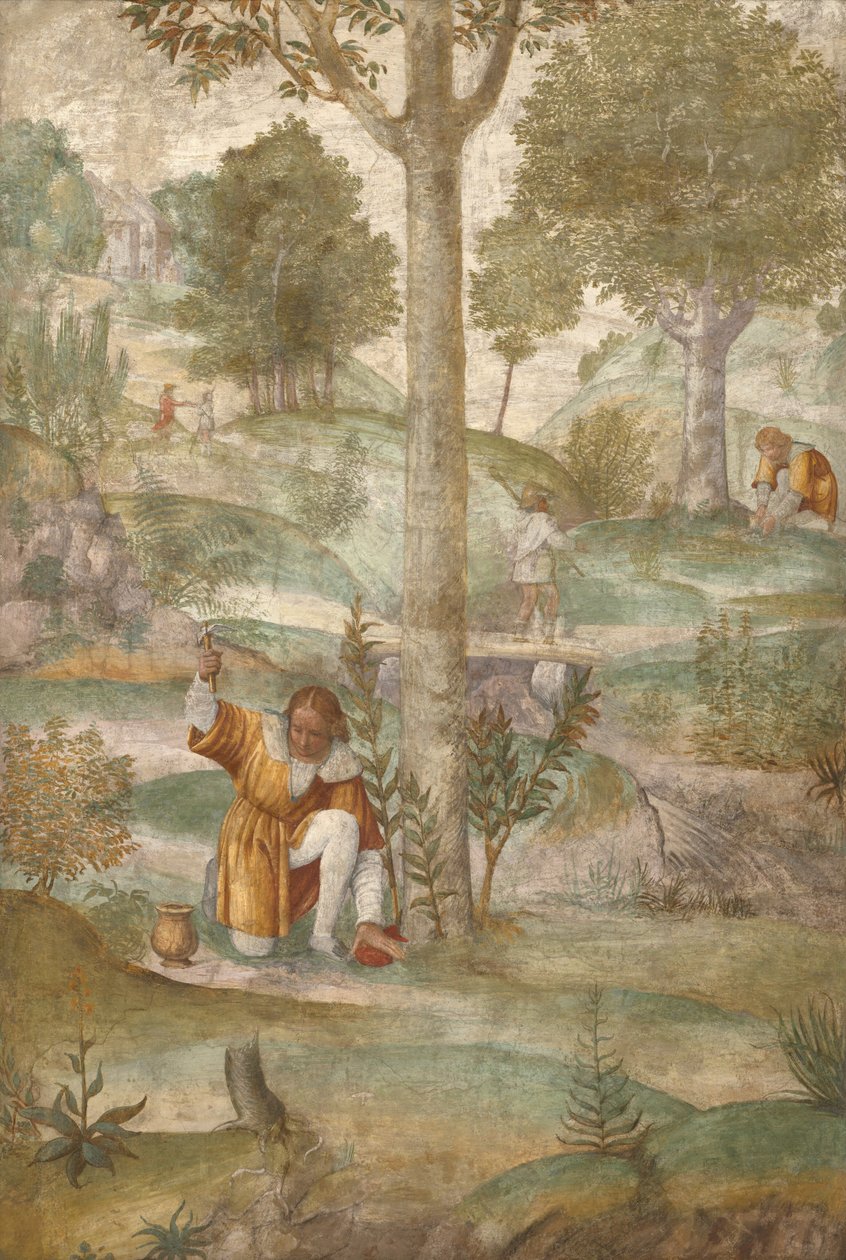 Kefalos ukrywający klejnoty autorstwa Bernardino Luini