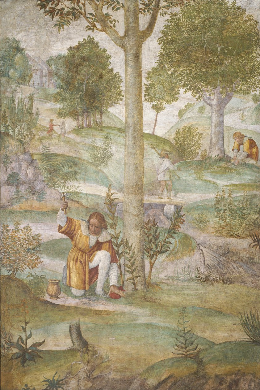 Cefalus ukrywający klejnoty, ok. 1930 15201522. autorstwa Bernardino Luini