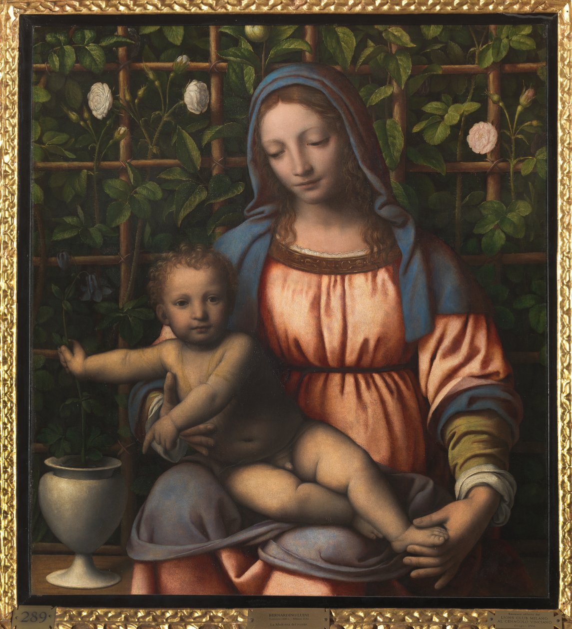 Madonna z Dzieciątkiem (Madonna del Roseto) autorstwa Bernardino Luini