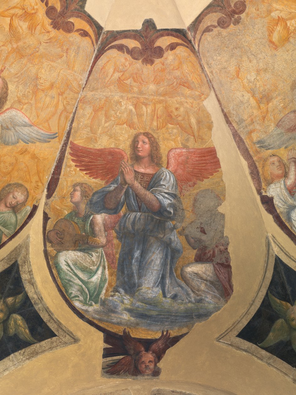 Modlący się anioł między dwoma klęczącymi muzykami i cherubinami autorstwa Bernardino Luini