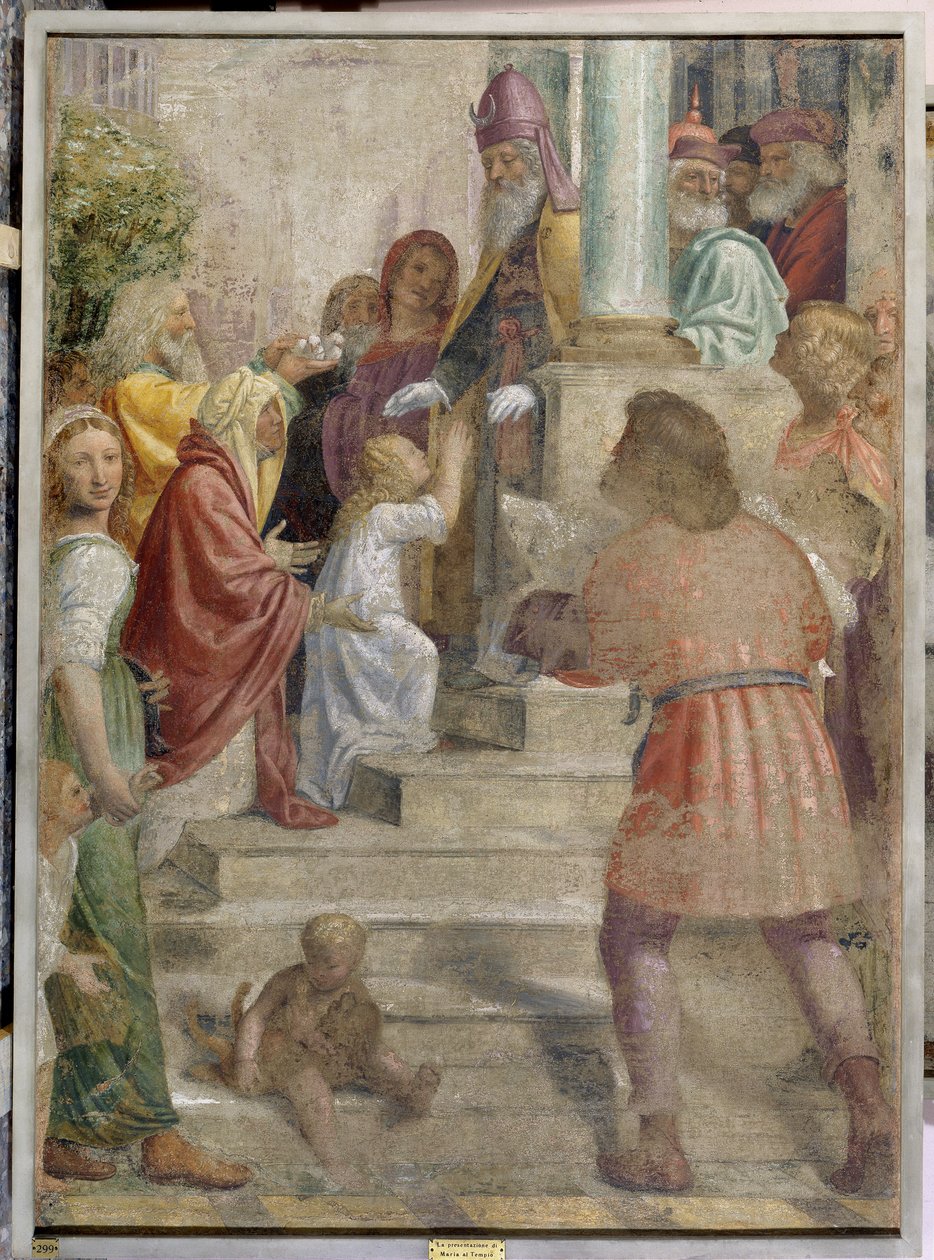 Ofiarowanie Maryi w Świątyni autorstwa Bernardino Luini