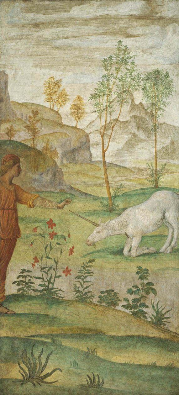 Procris i jednorożec autorstwa Bernardino Luini