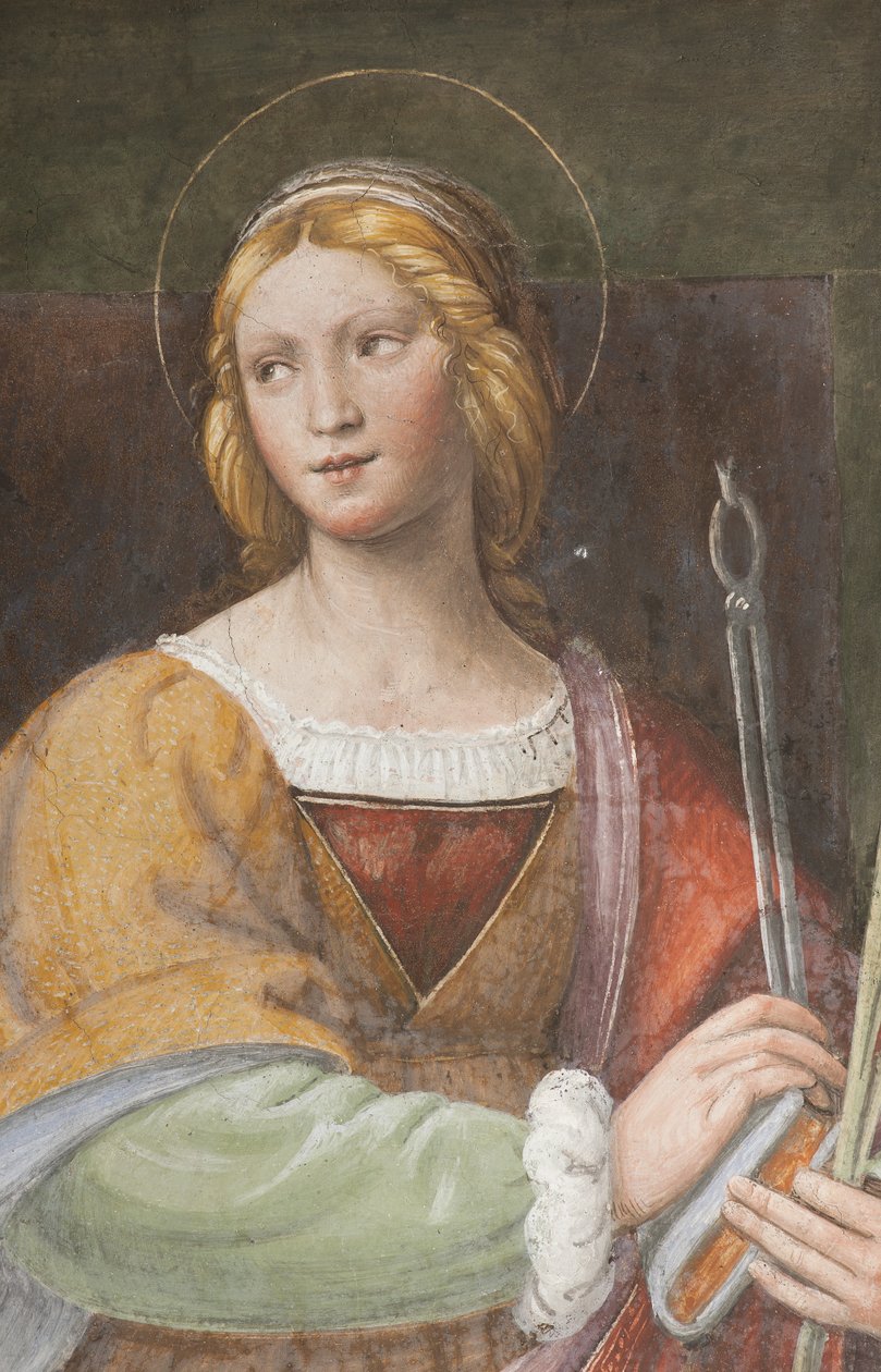 Święta Apollonia, c.1522-25 (detal 3497192) autorstwa Bernardino Luini