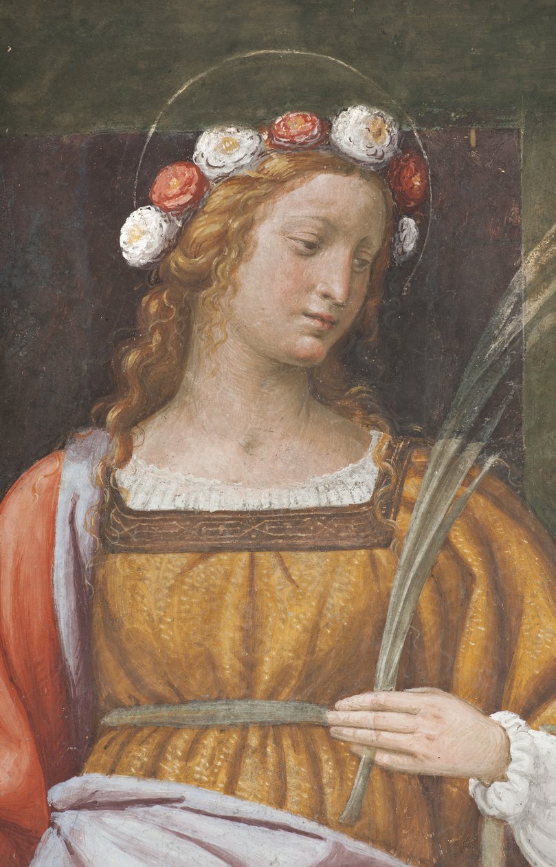 Święta Róża (detal 3497195) autorstwa Bernardino Luini