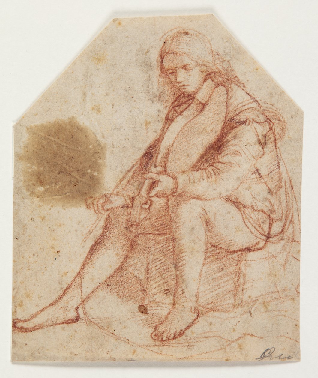 Siedząca młodzież z altówką autorstwa Bernardino Luini