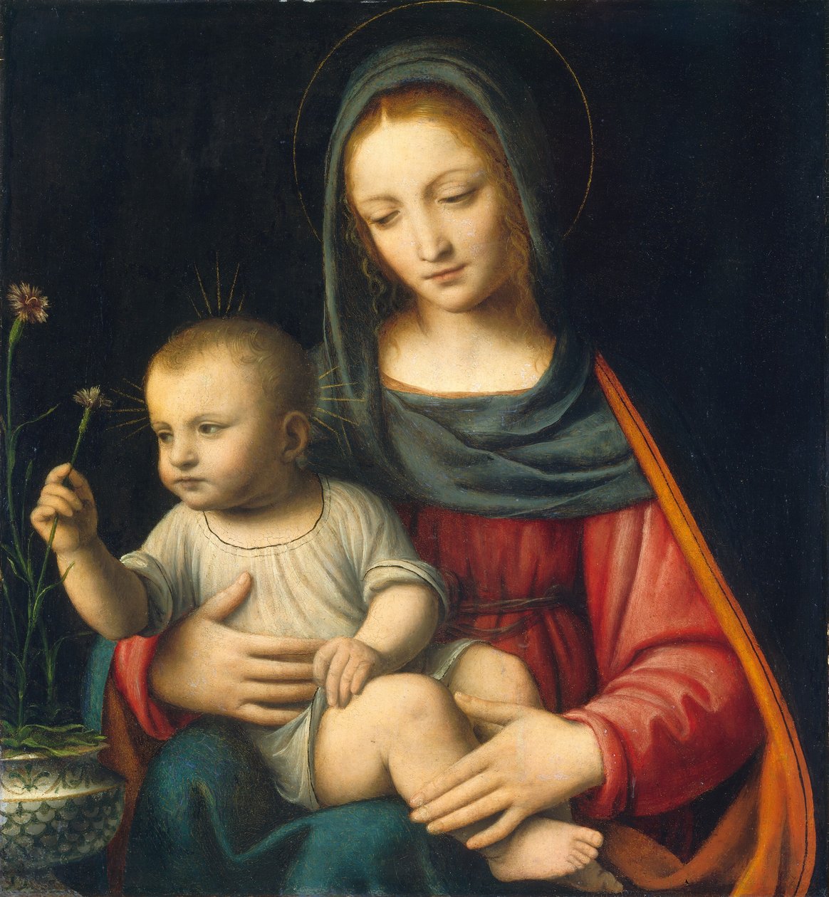 Madonna Goździka autorstwa Bernardino Luini