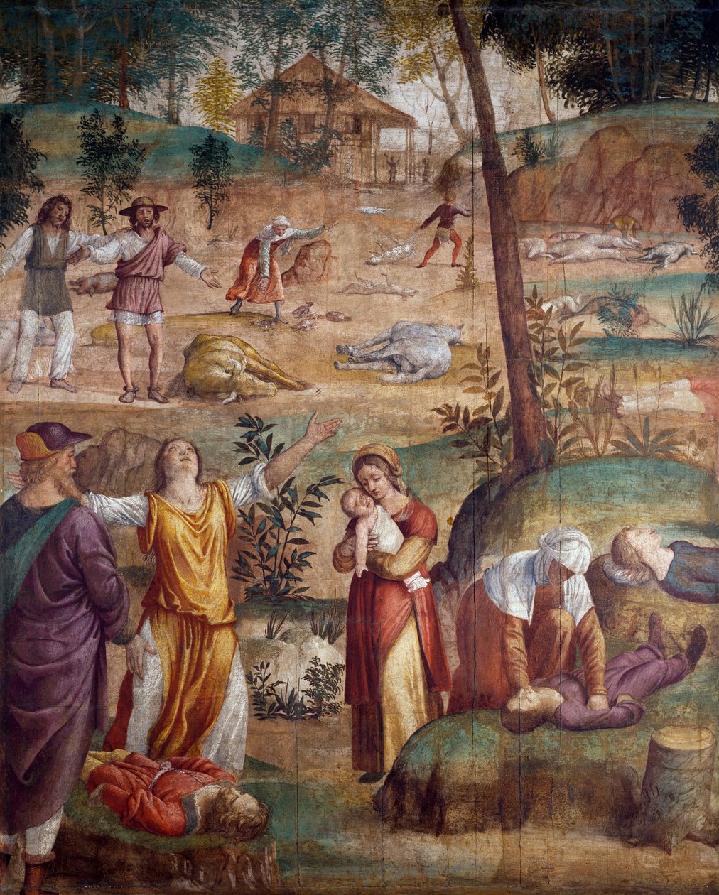 Śmierć pierworodnego, Bernardino Luini (ok. 1480-ok. 1532), fresk przeniesiony na drewno, 211x169 cm. autorstwa Bernardino Luini