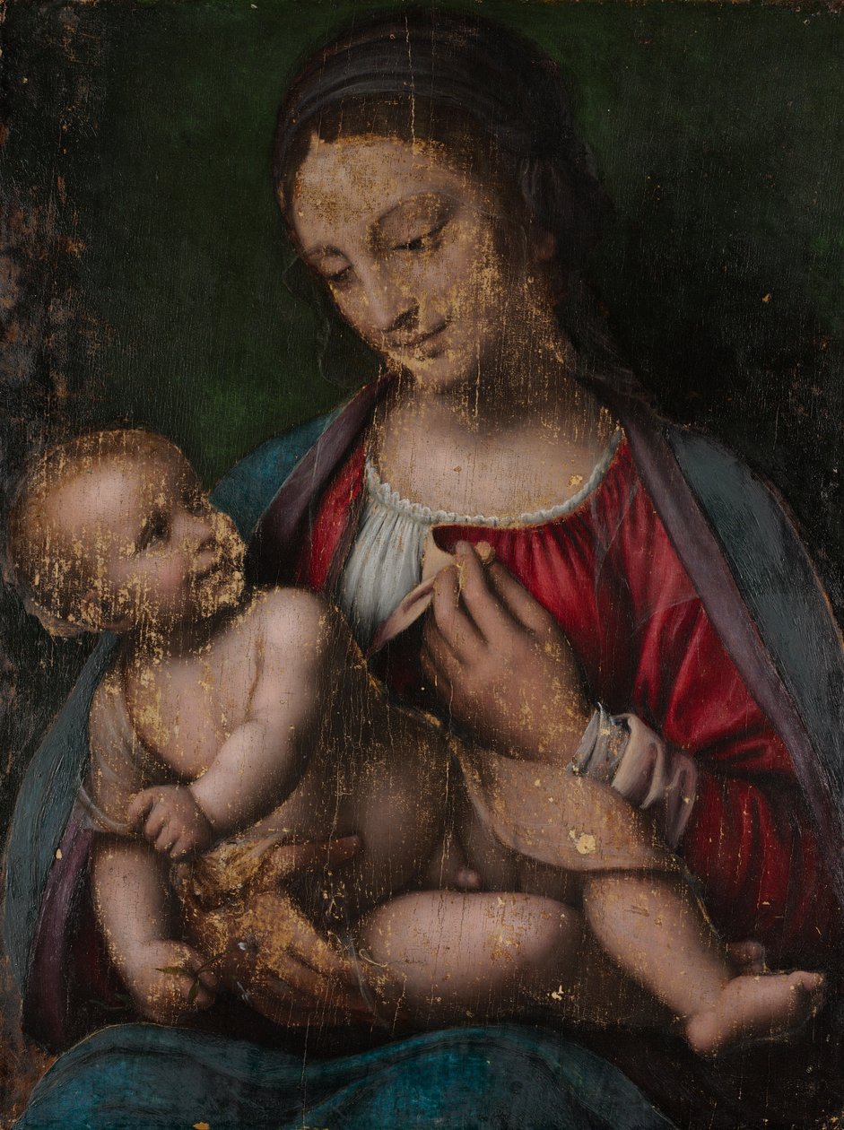 Dziewica z Dzieciątkiem, ok. 1500 r. (olej na drewnie) autorstwa Bernardino Luini