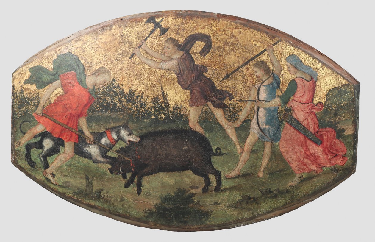 Polowanie na dzika kalydońskiego, ok. godz. 1509. autorstwa Bernardino Pinturicchio