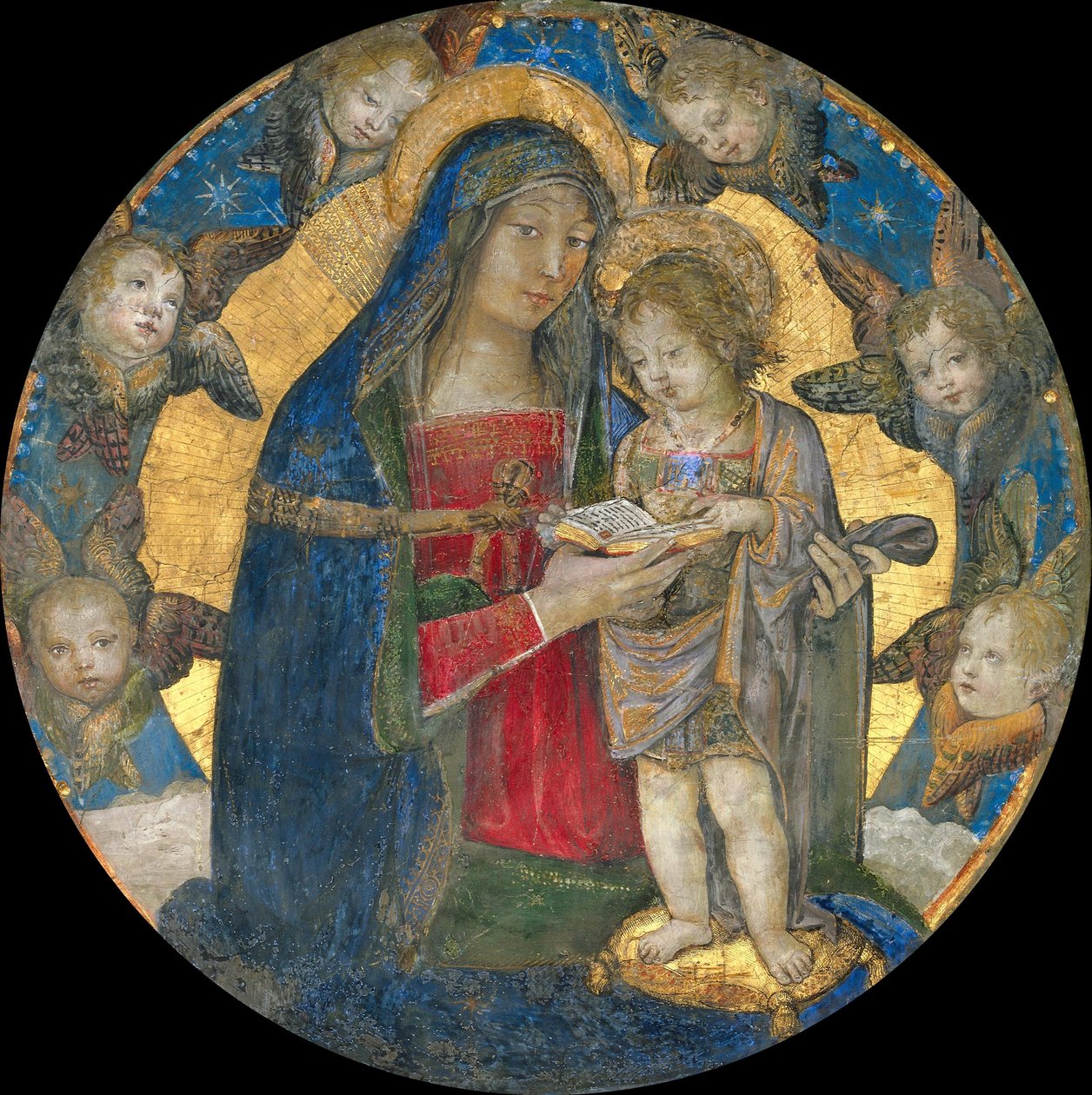 Madonna z Dzieciątkiem z Cherubinami, 1492-1495. autorstwa Bernardino Pinturicchio