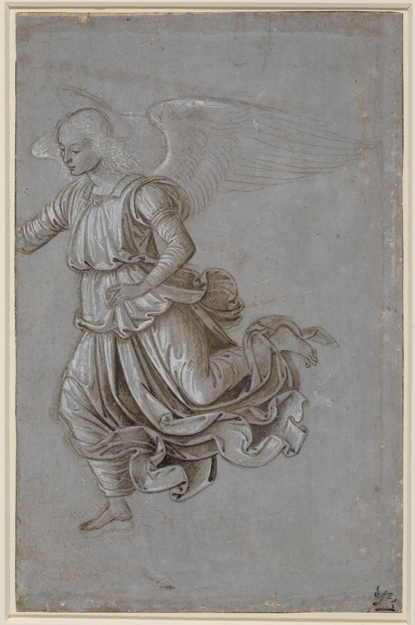 Studium latającego anioła autorstwa Bernardino di Betto Pinturicchio