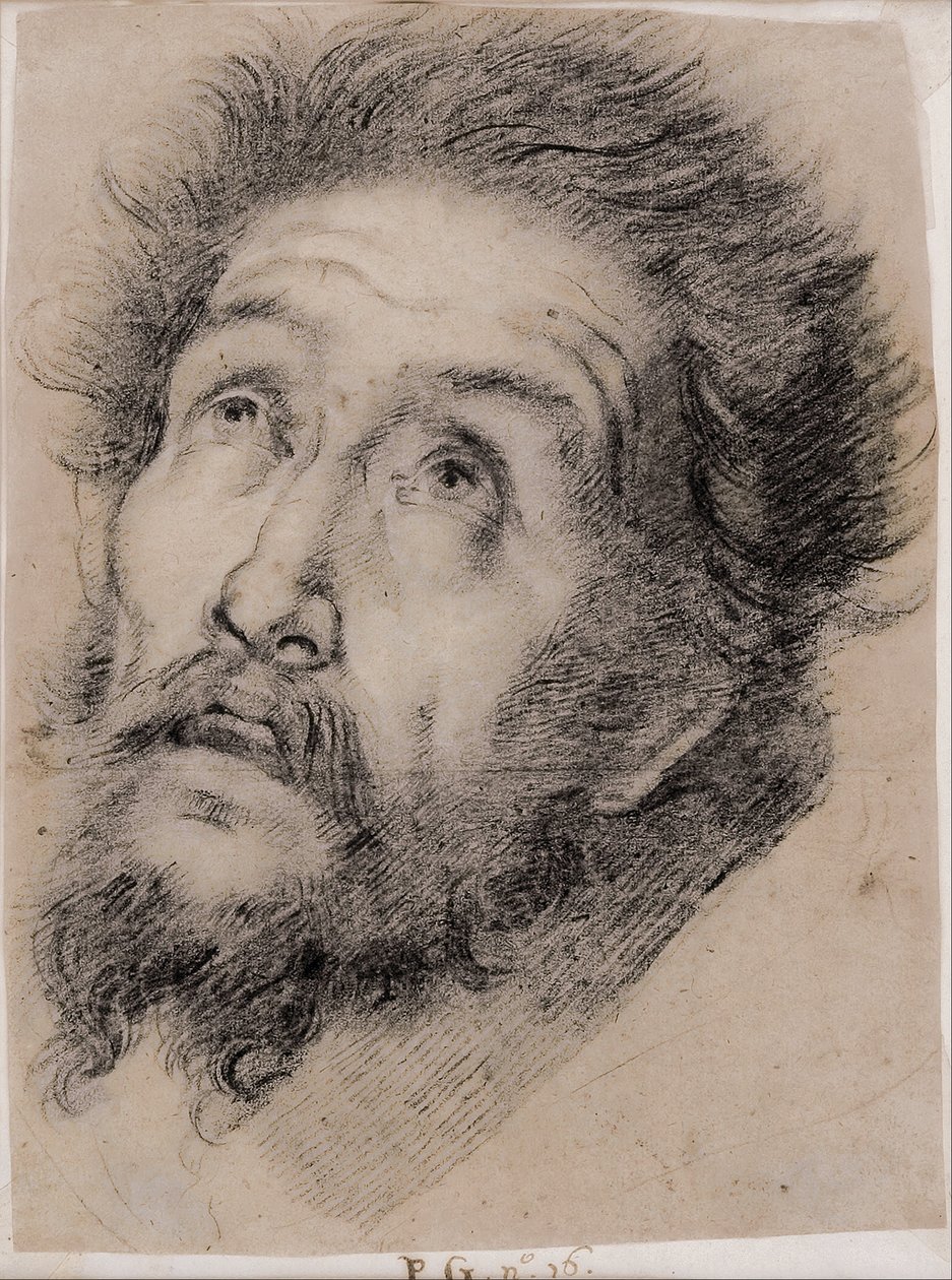 Studium dla św. Franciszka z Asyżu adorującego krzyż autorstwa Bernardo Strozzi