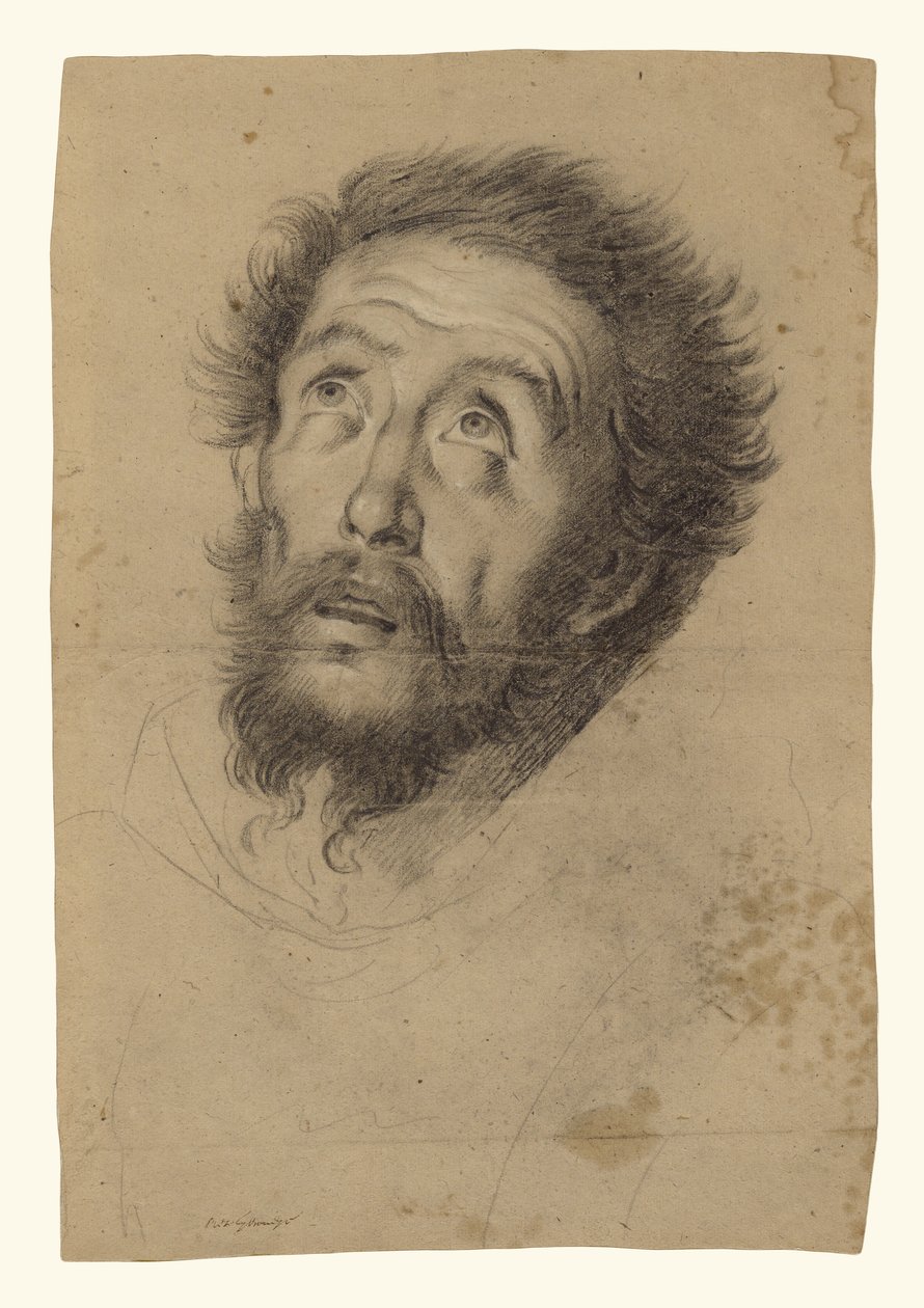 Głowa świętego Franciszka (recto); Studium głowy świętego Franciszka, głowy starca i dwóch prawych rąk (verso) autorstwa Bernardo Strozzi